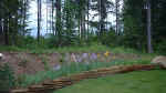 Dscf0014.jpg (35663 bytes)