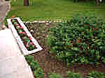 Dscf0015.jpg (44754 bytes)