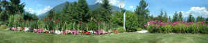 panorama of yard 2002.jpg (120640 bytes)