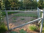 Garden is coming along.